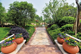 看慣了北方的生態(tài)粗線條 來(lái)感受下江南精品園林的畫風(fēng)