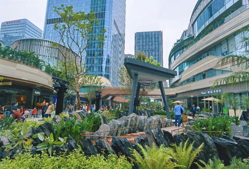 關(guān)注第十八屆重慶市市長(zhǎng)國(guó)際經(jīng)濟(jì)顧問(wèn)團(tuán)會(huì)議 重慶打造內(nèi)陸開放綜合樞紐 市長(zhǎng)顧問(wèn)團(tuán)企業(yè)如何助力