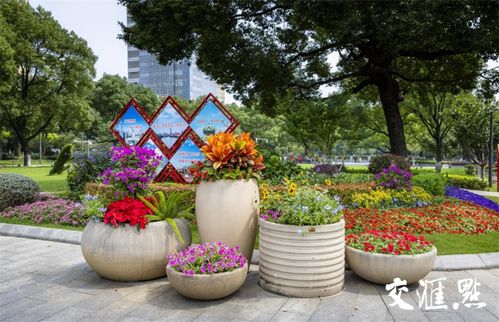 科技范 齒輪 轉(zhuǎn)動 南京著 盛裝 慶國慶