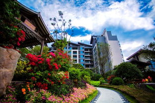 健康 生活 家 興進實業健康關懷暖心行動舉行