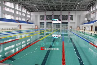 建室內游泳館 郊野公園 污水處理廠 東鄉(xiāng)這兒大做水文章