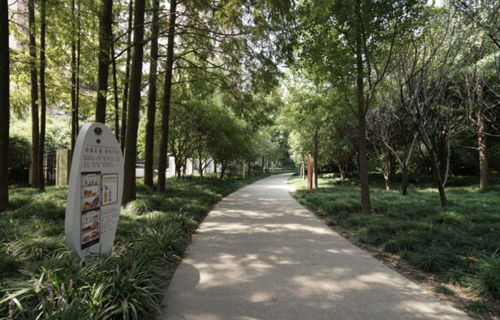 逛公園就能 遇見 食品安全知識 全市首家食品安全主題廣場亮相徐匯