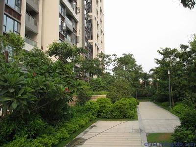 供應(yīng)廣州綠化公司華美霖東莞圣旗時(shí)裝綠化工程圖片,供應(yīng)廣州綠化公司華美霖東莞圣旗時(shí)裝綠化工程圖片大全,廣東華美霖園林實(shí)業(yè)-