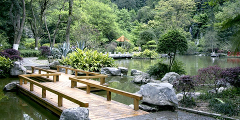 重慶峰宇園林建設(shè)|重慶園林規(guī)劃設(shè)計(jì)|重慶園林施工|重慶城市園林綠化|重慶花卉苗木|重慶園藝產(chǎn)品|重慶花木租售