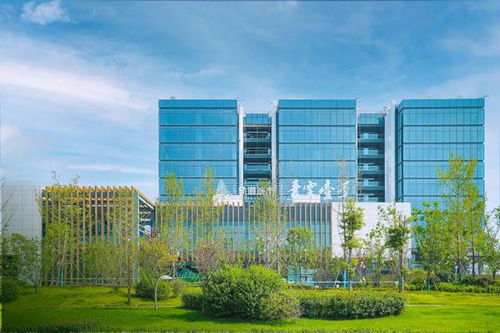 龍湖商業(yè)牽手馬廠壩tod,青羊新城新增15萬(wàn)方商業(yè)綜合體