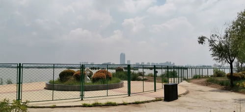 閱海公園 圍湖圈景 最新進(jìn)展 鐵絲網(wǎng)圍墻立即全部拆除還湖于民