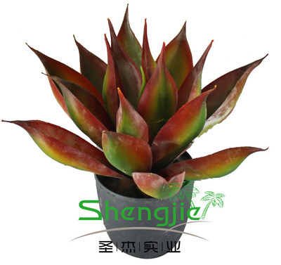 【仿真旱蓮 仿真植物 園林景觀設計 植物廠家 義烏仿真植物 綠植】價格,廠家,圖片,人造仿真植物,廣州市圣杰園林景觀設計-