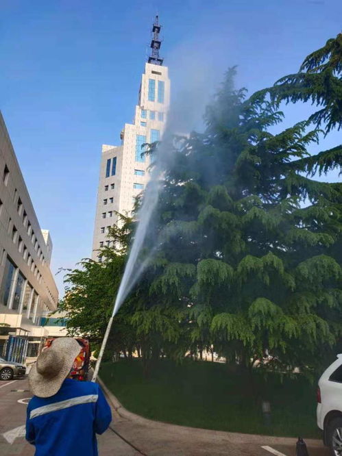 2021歡迎訪問 專業(yè)出租園林噴藥車，助力各類樹木養(yǎng)護(hù)——【實(shí)業(yè)集團(tuán)】園林實(shí)業(yè)